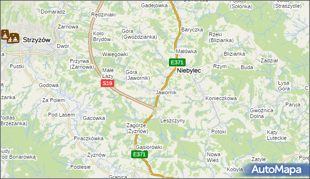 mapa Jawornik gmina Niebylec, Jawornik gmina Niebylec na mapie Targeo