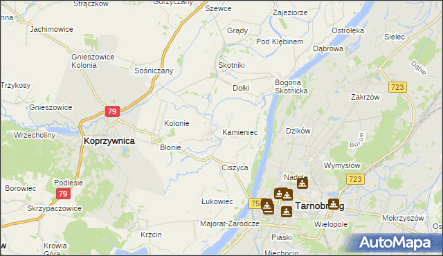 mapa Kamieniec gmina Koprzywnica, Kamieniec gmina Koprzywnica na mapie Targeo