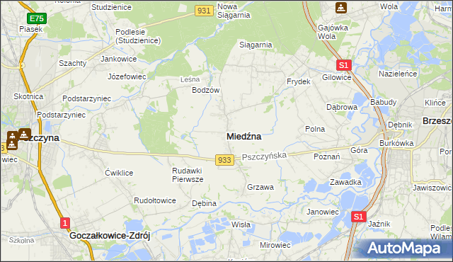 mapa Miedźna, Miedźna na mapie Targeo