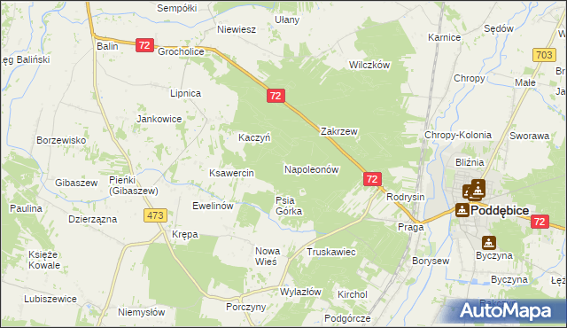 mapa Napoleonów gmina Poddębice, Napoleonów gmina Poddębice na mapie Targeo