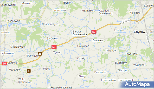 mapa Ostrowiec gmina Chynów, Ostrowiec gmina Chynów na mapie Targeo