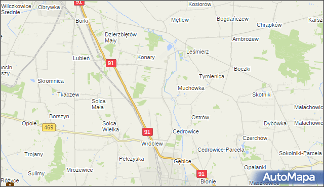 mapa Parzyce gmina Ozorków, Parzyce gmina Ozorków na mapie Targeo