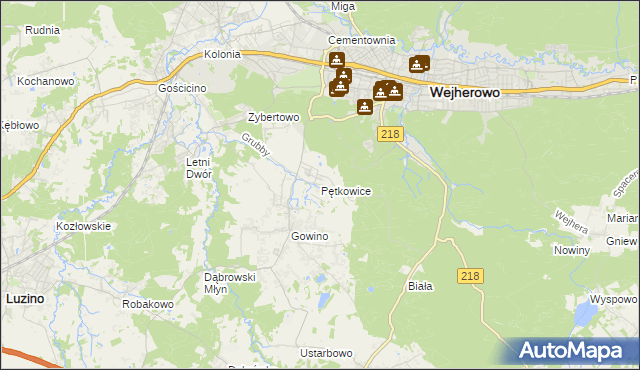 mapa Pętkowice gmina Wejherowo, Pętkowice gmina Wejherowo na mapie Targeo