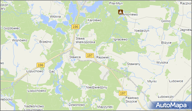 mapa Rejowiec gmina Skoki, Rejowiec gmina Skoki na mapie Targeo