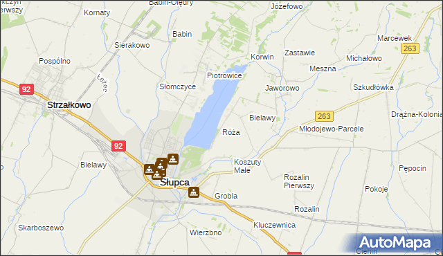 mapa Róża gmina Słupca, Róża gmina Słupca na mapie Targeo