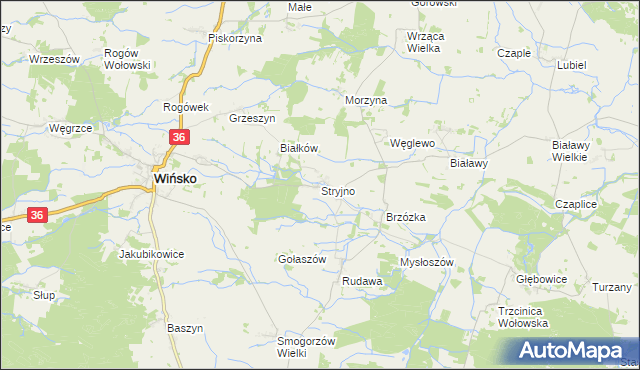 mapa Stryjno gmina Wińsko, Stryjno gmina Wińsko na mapie Targeo