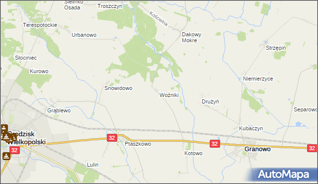 mapa Woźniki gmina Grodzisk Wielkopolski, Woźniki gmina Grodzisk Wielkopolski na mapie Targeo
