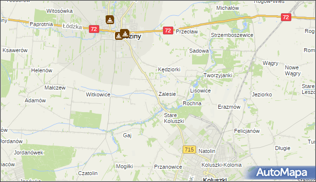 mapa Zalesie gmina Brzeziny, Zalesie gmina Brzeziny na mapie Targeo