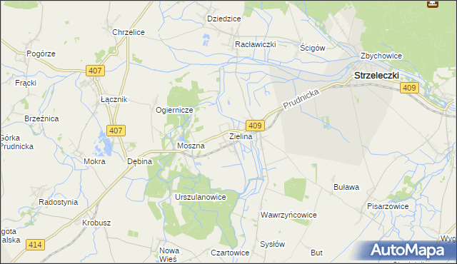 mapa Zielina, Zielina na mapie Targeo