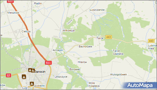 mapa Bachorzew, Bachorzew na mapie Targeo