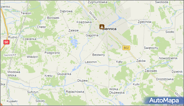 mapa Bestwiny, Bestwiny na mapie Targeo