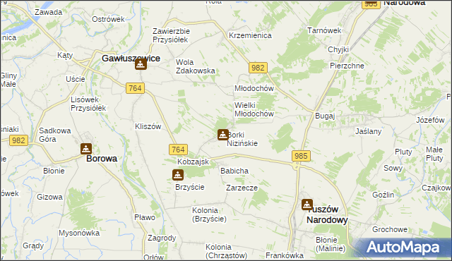 mapa Borki Nizińskie, Borki Nizińskie na mapie Targeo