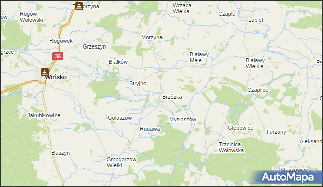 mapa Brzózka gmina Wińsko, Brzózka gmina Wińsko na mapie Targeo
