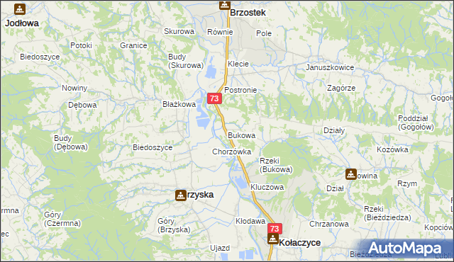 mapa Bukowa gmina Brzostek, Bukowa gmina Brzostek na mapie Targeo
