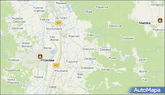mapa Dobrynin, Dobrynin na mapie Targeo