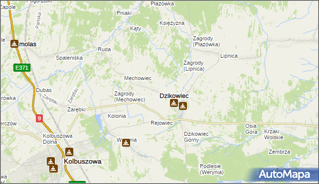 mapa Dzikowiec powiat kolbuszowski, Dzikowiec powiat kolbuszowski na mapie Targeo