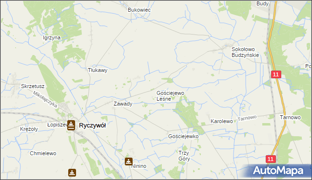 mapa Gościejewo Leśne, Gościejewo Leśne na mapie Targeo
