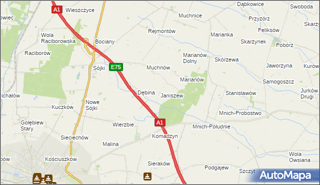 mapa Janiszew gmina Strzelce, Janiszew gmina Strzelce na mapie Targeo