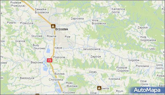 mapa Januszkowice gmina Brzostek, Januszkowice gmina Brzostek na mapie Targeo