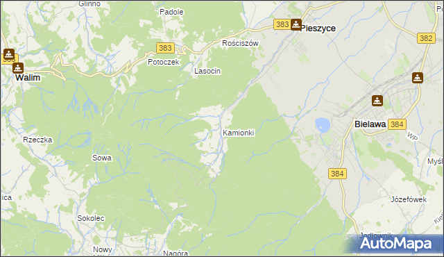 mapa Kamionki gmina Pieszyce, Kamionki gmina Pieszyce na mapie Targeo
