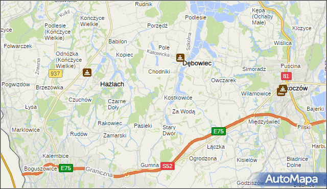 mapa Kostkowice gmina Dębowiec, Kostkowice gmina Dębowiec na mapie Targeo