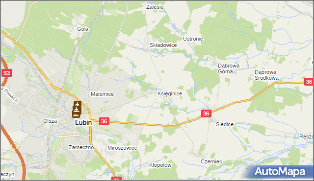 mapa Księginice gmina Lubin, Księginice gmina Lubin na mapie Targeo