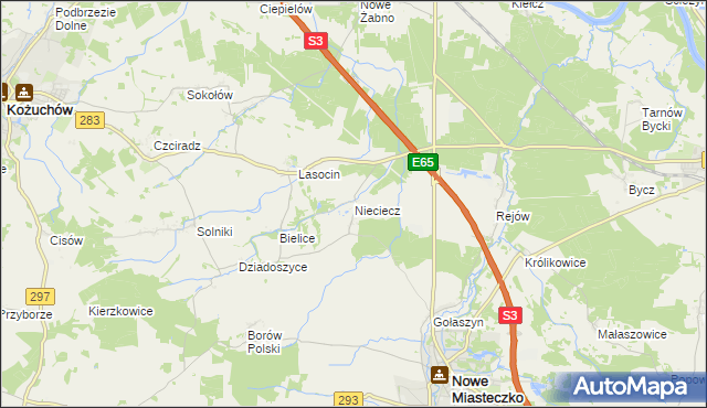 mapa Nieciecz gmina Nowe Miasteczko, Nieciecz gmina Nowe Miasteczko na mapie Targeo