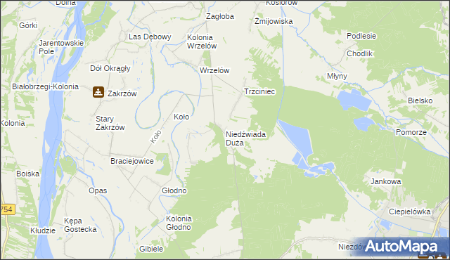 mapa Niedźwiada Duża, Niedźwiada Duża na mapie Targeo