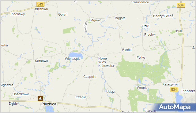 mapa Nowa Wieś Królewska gmina Płużnica, Nowa Wieś Królewska gmina Płużnica na mapie Targeo