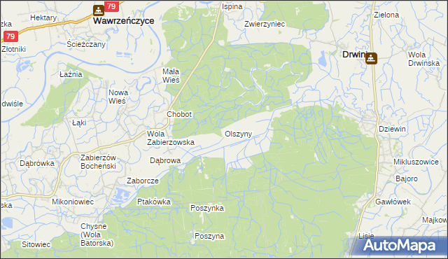 mapa Olszyny gmina Drwinia, Olszyny gmina Drwinia na mapie Targeo