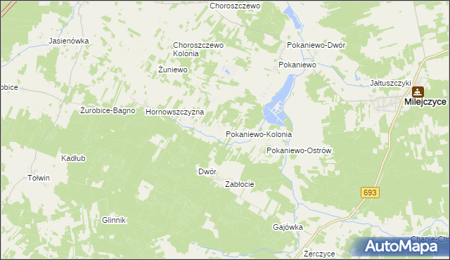 mapa Pokaniewo-Kolonia, Pokaniewo-Kolonia na mapie Targeo