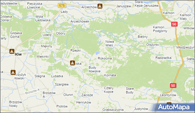 mapa Rokocina, Rokocina na mapie Targeo