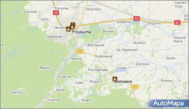 mapa Ruszkowice gmina Borkowice, Ruszkowice gmina Borkowice na mapie Targeo