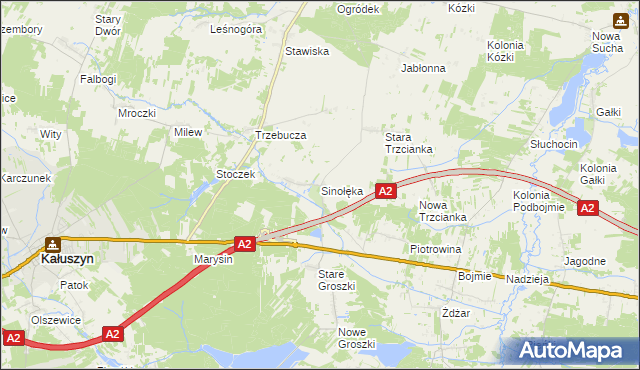 mapa Sinołęka, Sinołęka na mapie Targeo