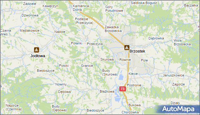 mapa Skurowa, Skurowa na mapie Targeo