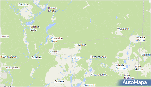 mapa Sowiniec gmina Cekcyn, Sowiniec gmina Cekcyn na mapie Targeo