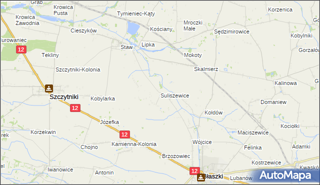 mapa Suliszewice gmina Błaszki, Suliszewice gmina Błaszki na mapie Targeo