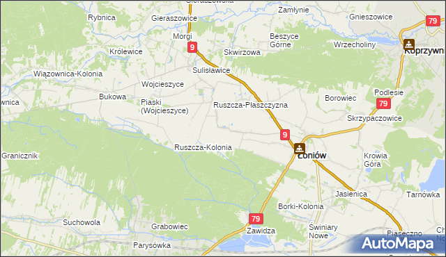 mapa Wnorów, Wnorów na mapie Targeo