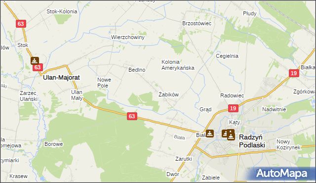 mapa Żabików gmina Radzyń Podlaski, Żabików gmina Radzyń Podlaski na mapie Targeo