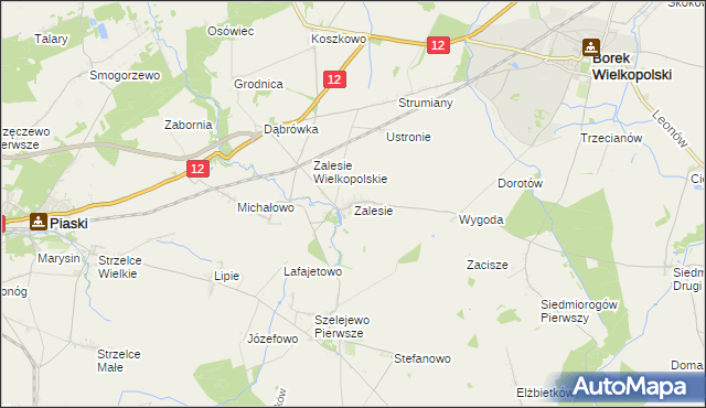 mapa Zalesie gmina Borek Wielkopolski, Zalesie gmina Borek Wielkopolski na mapie Targeo