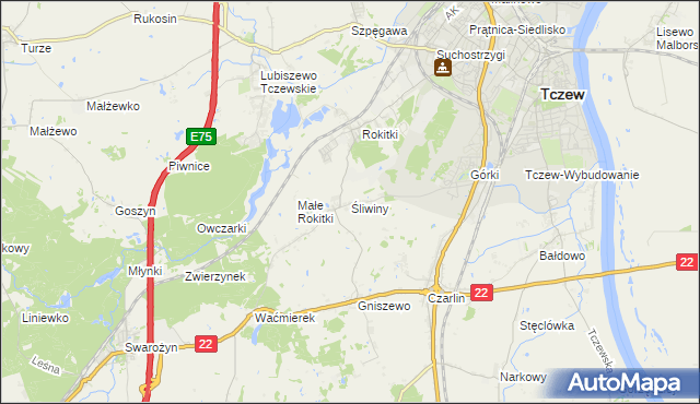 mapa Śliwiny gmina Tczew, Śliwiny gmina Tczew na mapie Targeo