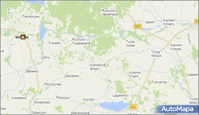 mapa Borowo gmina Tłuchowo, Borowo gmina Tłuchowo na mapie Targeo