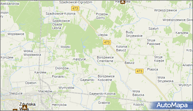 mapa Borszewice Cmentarne, Borszewice Cmentarne na mapie Targeo