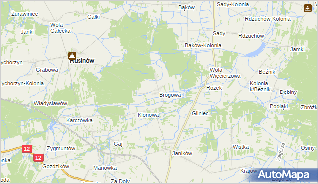 mapa Brogowa, Brogowa na mapie Targeo