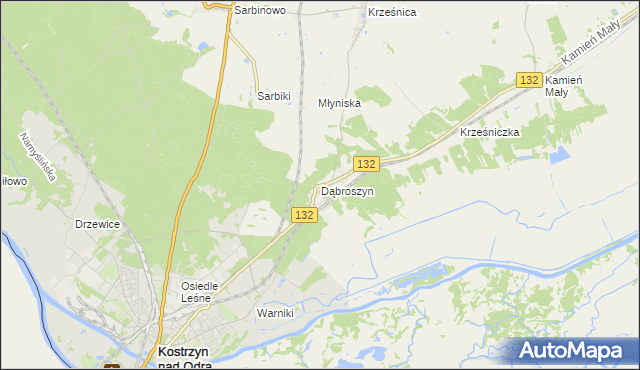 mapa Dąbroszyn gmina Witnica, Dąbroszyn gmina Witnica na mapie Targeo