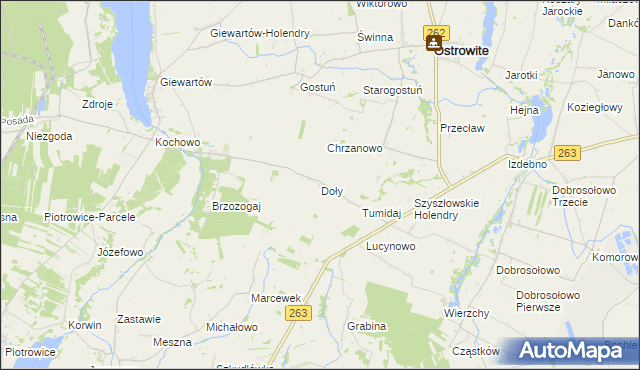mapa Doły gmina Ostrowite, Doły gmina Ostrowite na mapie Targeo