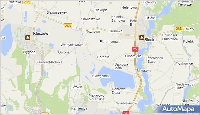 mapa Goraninek gmina Ślesin, Goraninek gmina Ślesin na mapie Targeo