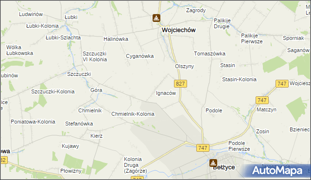 mapa Ignaców gmina Wojciechów, Ignaców gmina Wojciechów na mapie Targeo