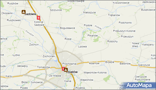 mapa Lipowa gmina Opatów, Lipowa gmina Opatów na mapie Targeo