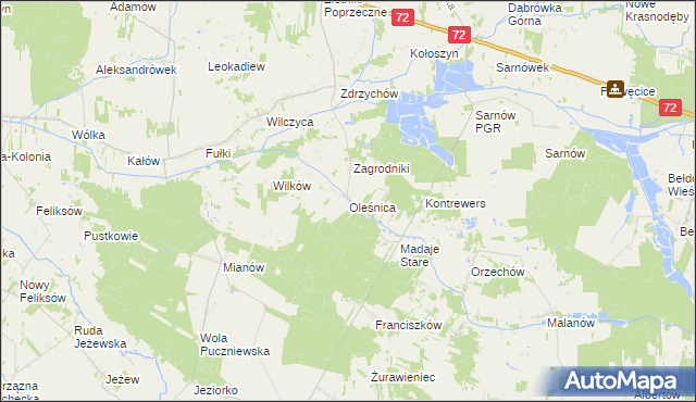 mapa Oleśnica gmina Dalików, Oleśnica gmina Dalików na mapie Targeo
